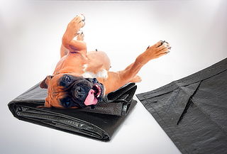 Funda Protectora de Mascotas para Auto