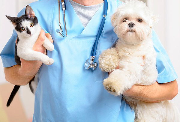 Corte de Uñas + Desparasitación Interna para Perros y Gatos