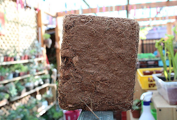Bloque de Fibra de Coco