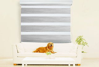 Cortinas Roller Dúo Volgen, Opción de Colores y Medidas