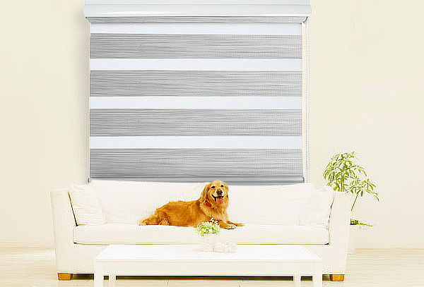 Cortinas Roller Dúo Volgen, Opción de Colores y Medidas