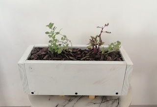 ¡Eco Jardinera Lista! Color Blanco + 2 Kg de Sustrato y Más