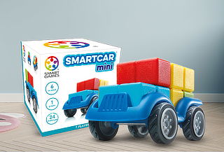 Smart Car mini 