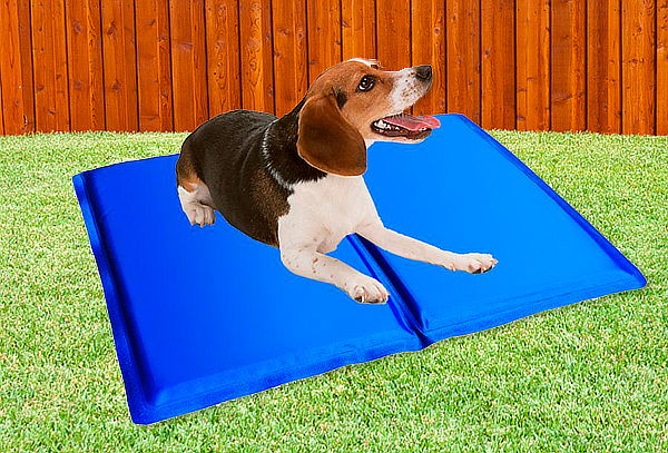 Mat de Enfriamiento para Mascotas Tamaño pequeño