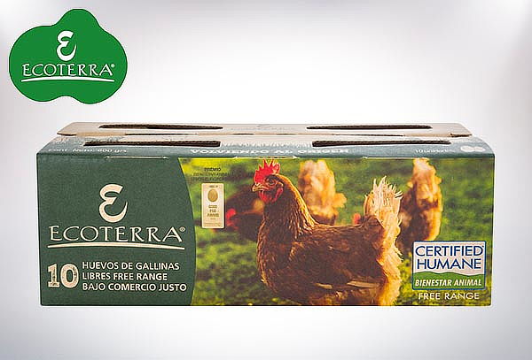 40 o 100 huevos L de gallinas libres de praderas. 