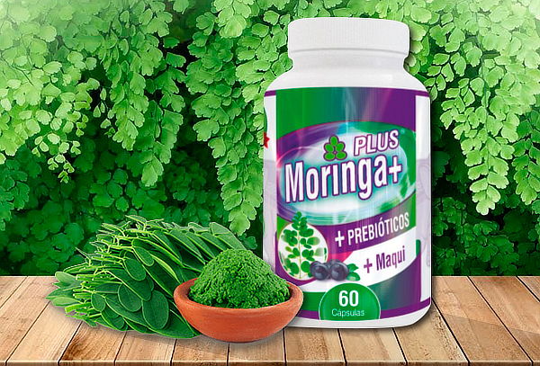 60 Cápsulas Energizante con Maqui y Prebióticos Moringa Plus