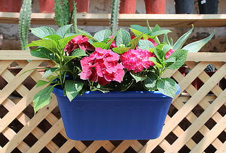 Jardinera para Balcón Colgante
