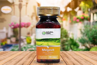 Megavit Multivitaminico 60 Caps Zinc Ginseng