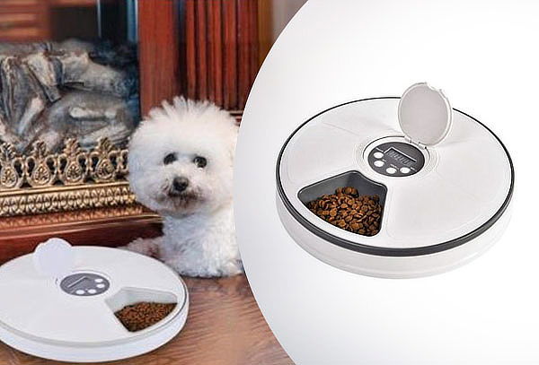 Dispensador de Alimentos Automático para Perros o Gatos