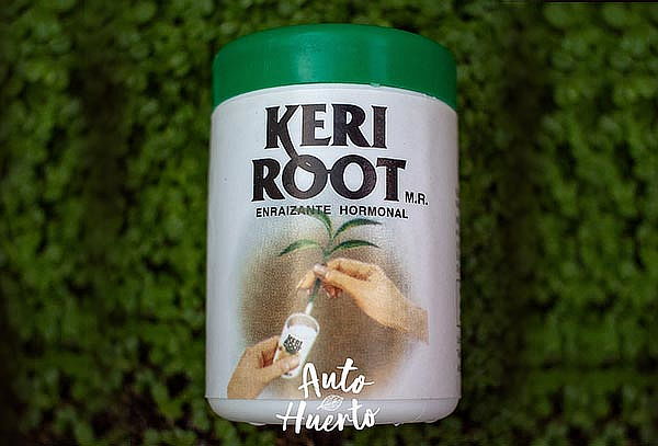 Enraizante Hormonal Keri Root
