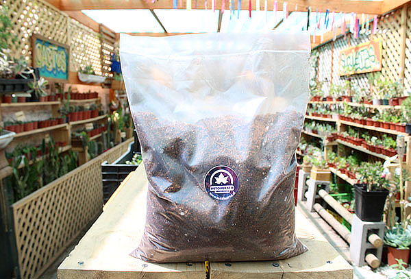 Humus de Lombriz Orgánico