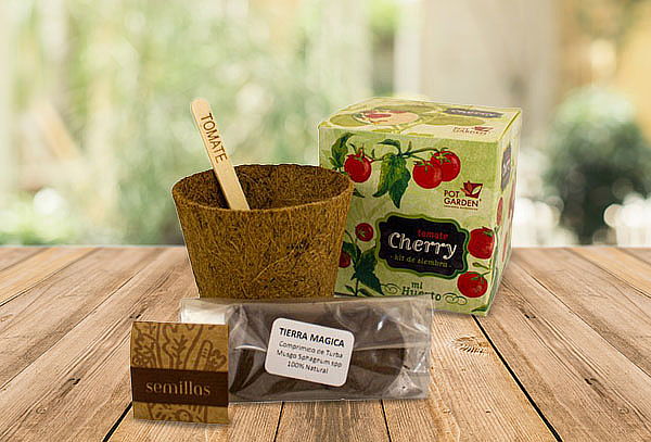 Kit Mi Primer Cultivo Ciboulette