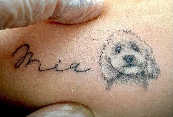 Tatuaje de Mascotas 5 Cm, 10 Cm y 15 Cm en Negro
