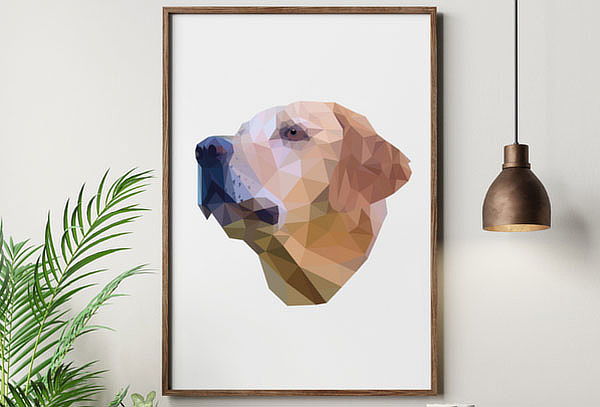 Retrato Geopets de tu Raza Favorita a elección