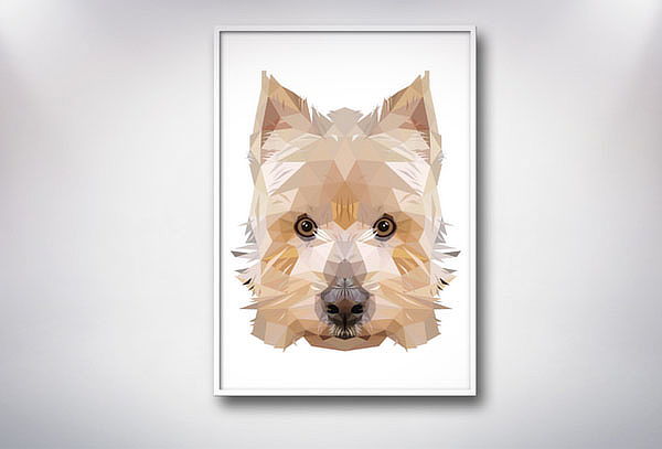 Retrato Geopets de tu Raza Favorita a elección