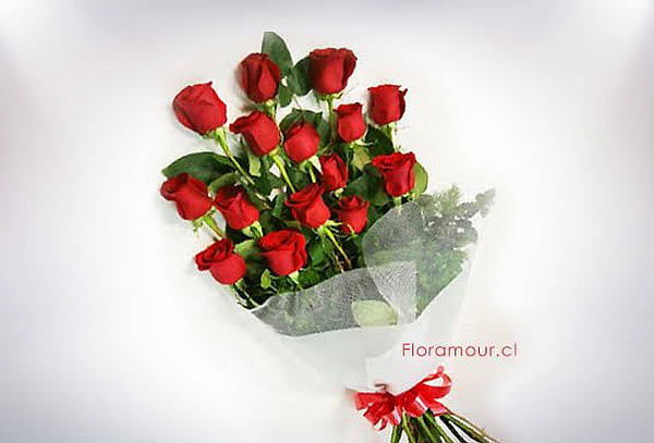 Ramos a elección con retiro en Floramour