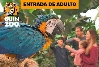 Entrada para Buin Zoo para Adulto Sabado o Domingo