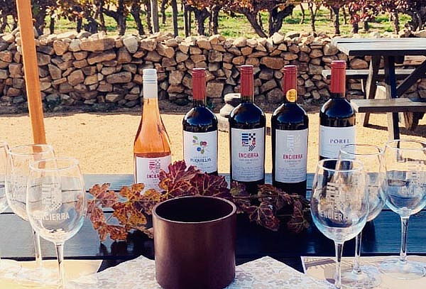 Tour Ícono + Degustación Premium en Viña Boutique Encierra