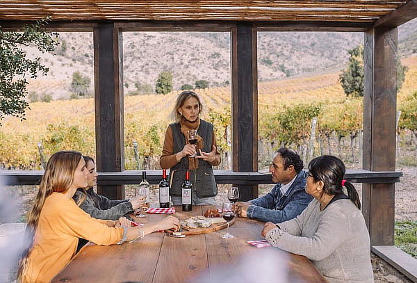 Tour Ícono + Degustación Premium en Viña Boutique Encierra