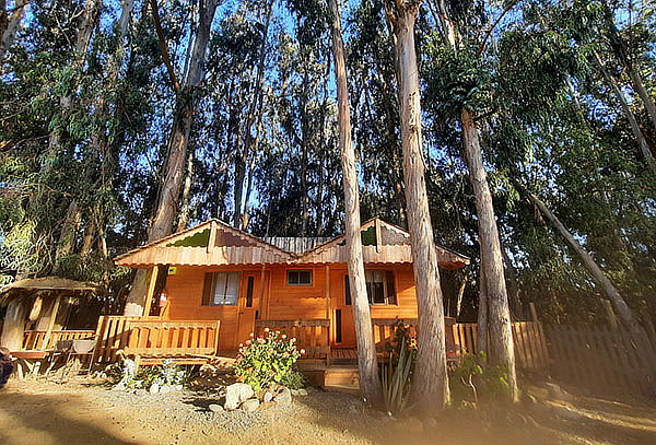 Pinares del Mar, Isla Negra: 8 Días 7 Noches opción 4 o 2 