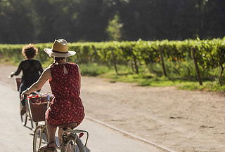 Wine Tour Bicicleta Tradicional Viña Cousiño Macul,Peñalolén