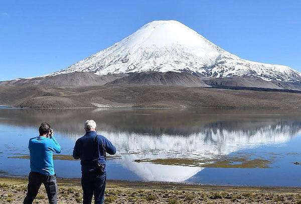 Full Day Arica - Parque Nacional Lauca - Lago Chungará