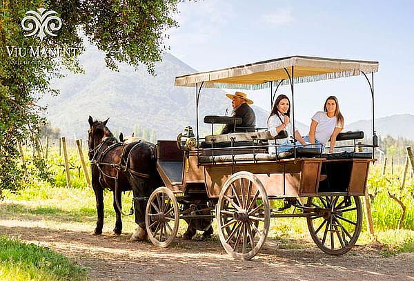 Tour Carruaje para 1 persona en Viña Viu Manent
