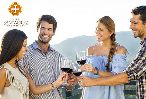 Tour de vinos íconos y premium + Teleferico Viña Santa Cruz
