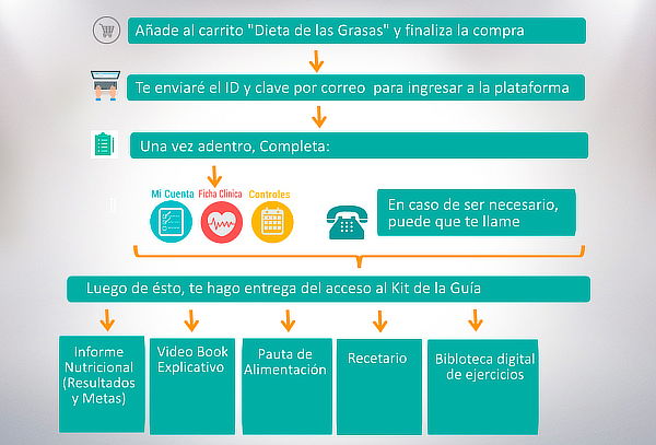 Dieta de Las Grasas, Tratamiento Online