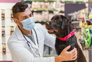 Consulta Veterinaria + 1 Vacuna + Desparasitación