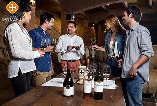 Tour de vinos Gran Chamán + Teleférico Viña Santa Cruz