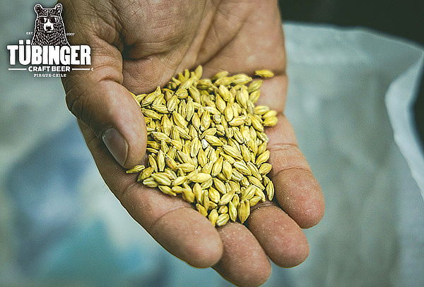 Tour Cervecería Tubinger + regalo 