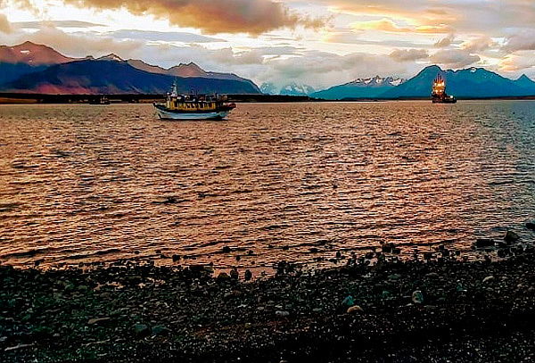 2x1 Torres del Paine +Tour Navegación Lago Grey 