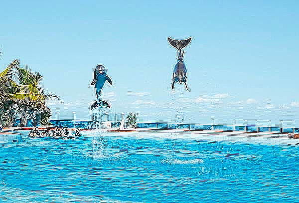 6D/5N en Grand Sirenis RIVIERA MAYA para dos + 2 Menores
