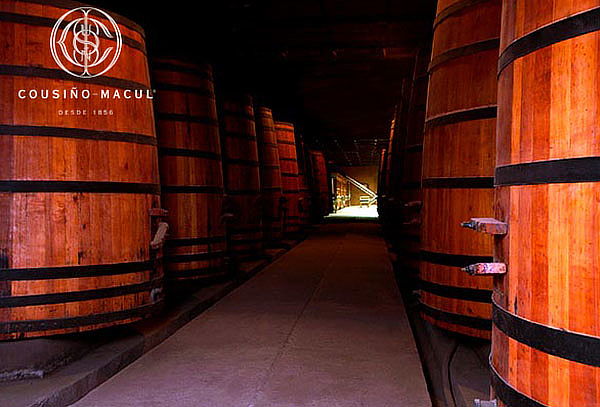 Para 2 Wine Tour tradicional Viña Cousiño + Botella de 375cc