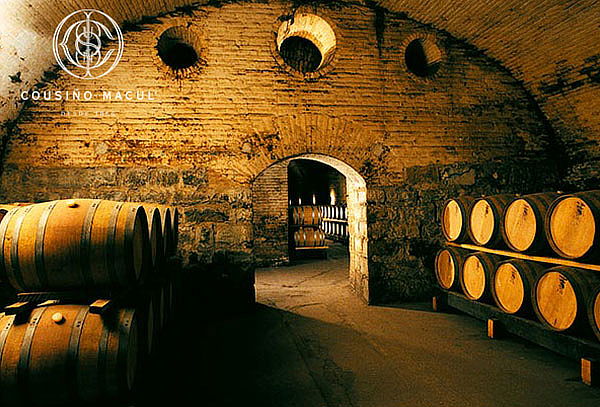 Para 2 Wine Tour tradicional Viña Cousiño + Botella de 375cc