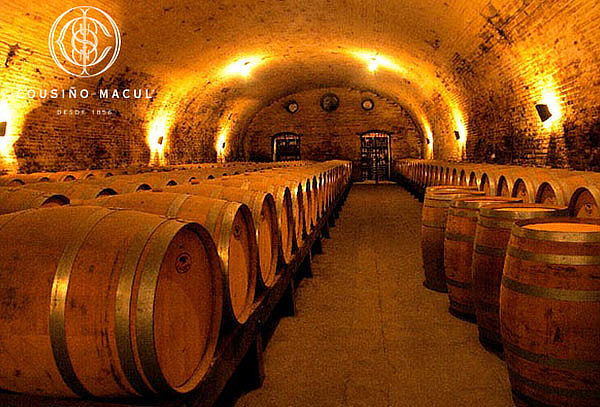 Para 2 Wine Tour tradicional Viña Cousiño + Botella de 375cc