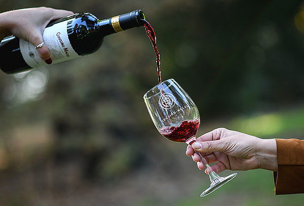 Para 2 Wine Tour tradicional Viña Cousiño + Botella de 375cc