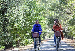 Para 2 Wine Tour Bicicleta Tradicional Viña Cousiño, botella