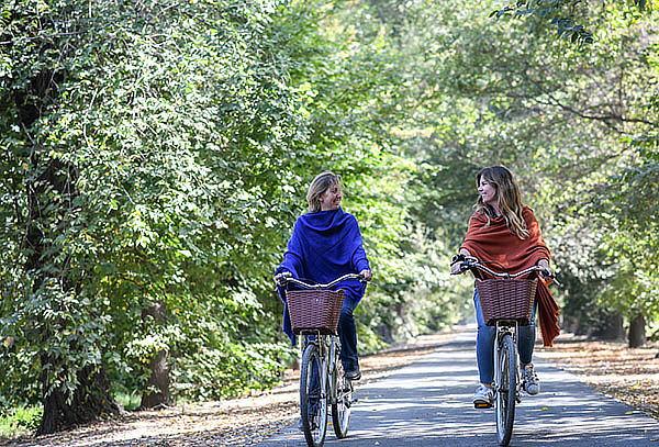Para 2 Wine Tour Bicicleta Tradicional Viña Cousiño, botella