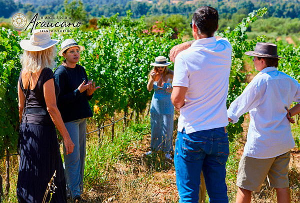 Experiencia Biodinámica Tour + Degustación para 2 