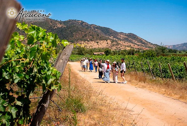 Degustación L'atelier para1 o 2personas en Hacienda Araucano