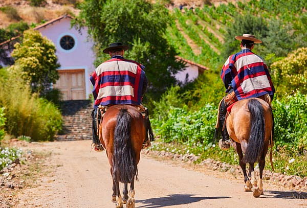Degustación Grandes Vinos para 2 personas + Recorrido 