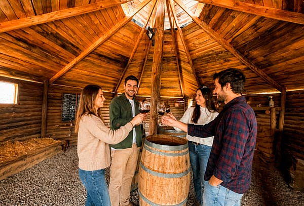 Degustación Grandes Vinos para 2 personas + Recorrido 
