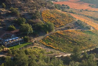 Degustación Grandes Vinos para 2 personas + Recorrido 
