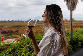 Tour Vino y Sabores cata de 2 Súper Premium 1 Reserva+Snacks
