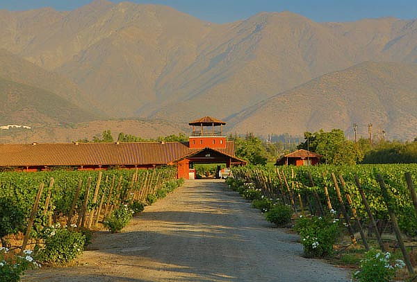 Tour de Vinos Aquitania a elección para 1 o 2 personas