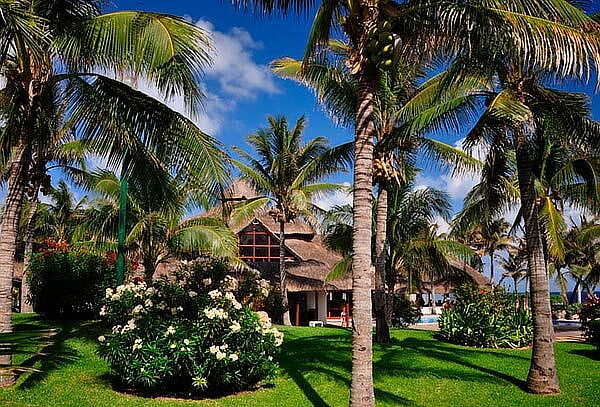 Cancún: 5D/4N en Grand Oasis Cancún 2 adultos