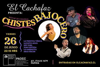 show stand up "Chistes bajo cero" en El Cachafaz