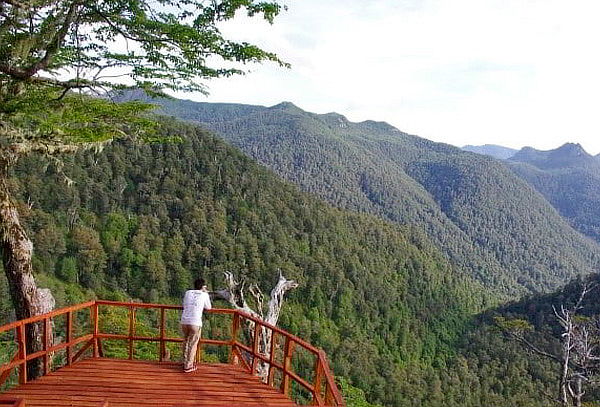 Cabañas Choshuenco Huilo Huilo